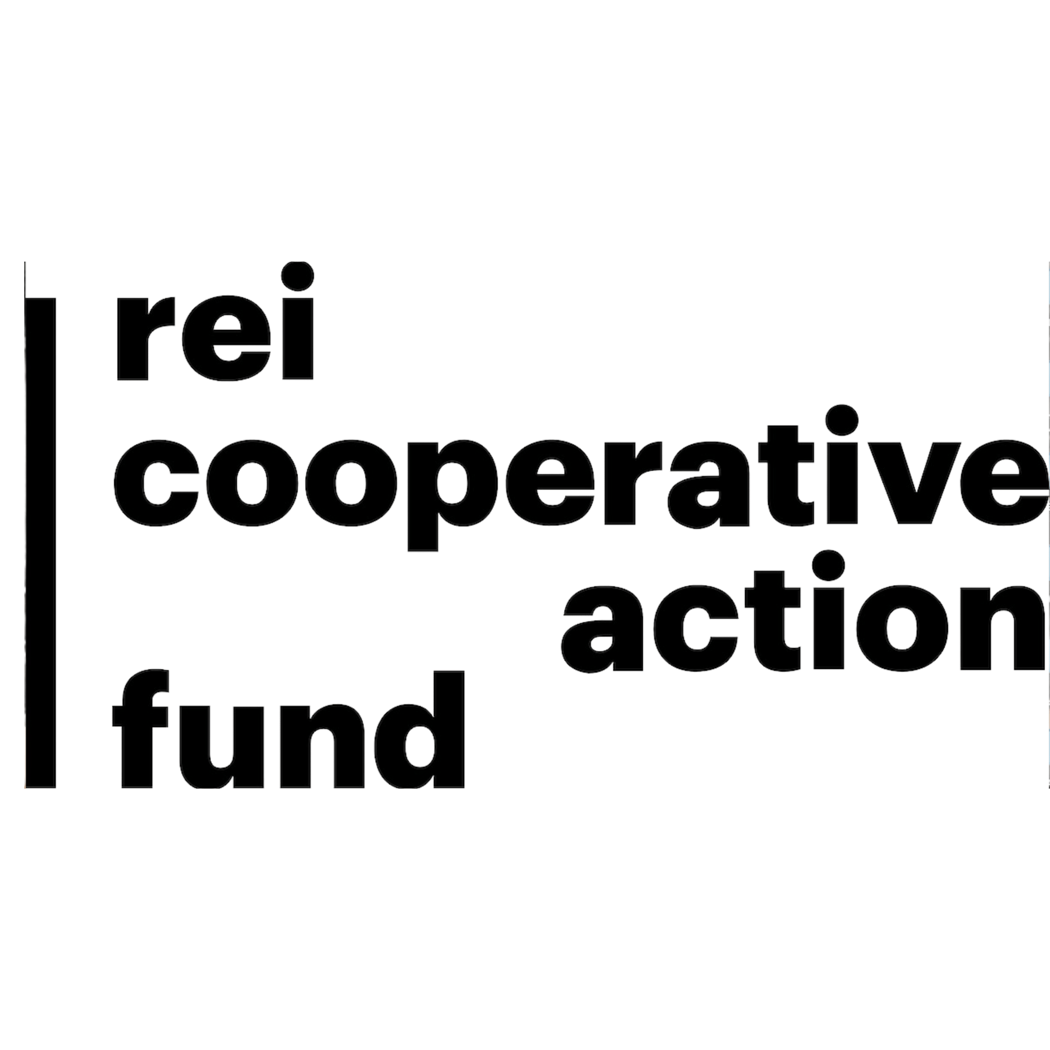 REI Cooperative Action Fund