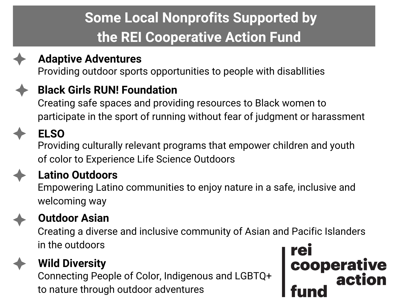 REI Cooperative Action Fund nonprofits